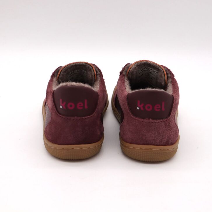 KOEL Barefoot DION WOOL Bordo