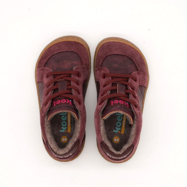KOEL Barefoot DION WOOL Bordo
