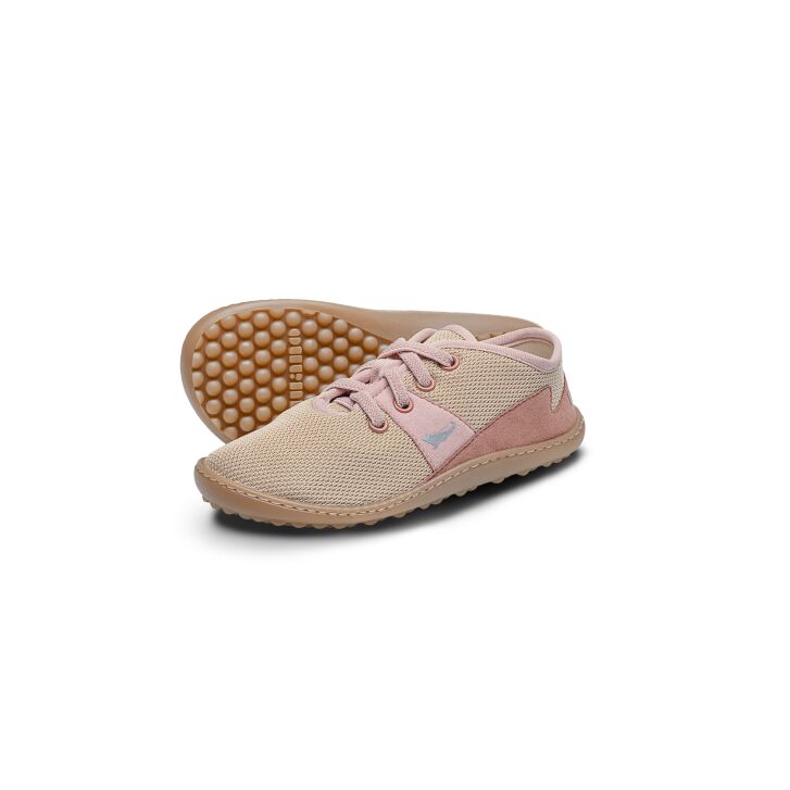 Leguanito Speedy Rose