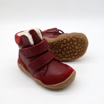 BLifestyle GIBBON TEX Bordeaux 26