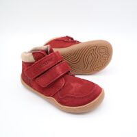 bLIFESTYLE RACCOON VELOURS vlies bordeaux 21