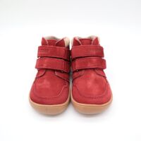 bLIFESTYLE RACCOON VELOURS vlies bordeaux 21