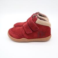 bLIFESTYLE RACCOON VELOURS vlies bordeaux 21