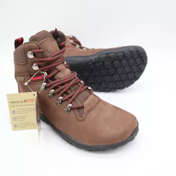 Lackner Human TX High Mocca