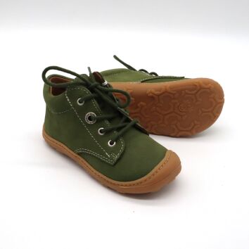 Pepino Lauflerner CORY kaktus (M) 21